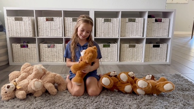 Amazon.com: MorisMos 6 Packs Teddy Bears Bulk Stuffed Animals